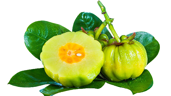 WHAT IS GARCINIA AND ITS BENEFITS